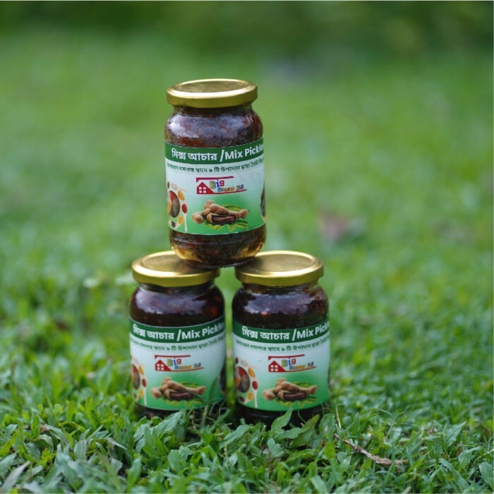 মিক্স আচার / Mix Pickles - Image 4