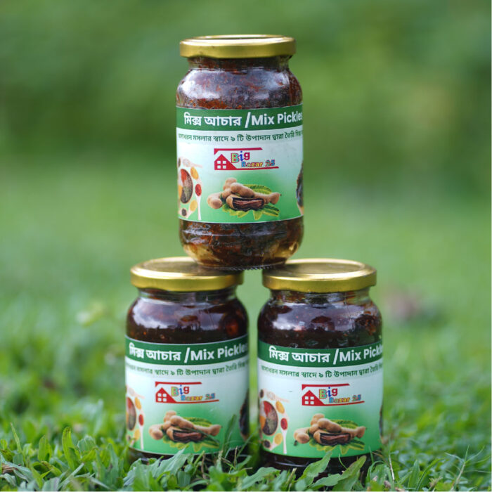 মিক্স আচার / Mix Pickles - Image 1